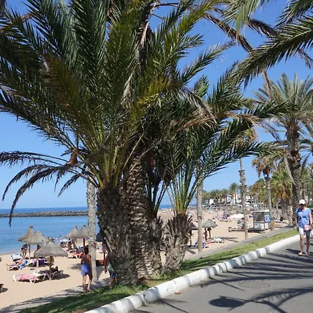 Apartamento Terraza Cristianos Arona (Tenerife)