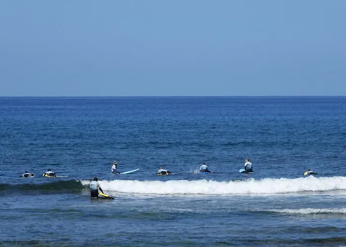 Daire Terraza Cristianos *